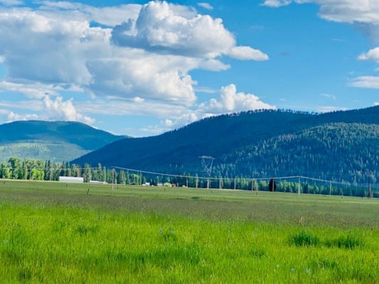 10 CABINET VIEW # LOT 5, TROUT CREEK, MT 59874, photo 2 of 12