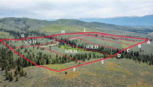 PARCEL F CHASE LANE, STEVENSVILLE, MT 59870, photo 2 of 4