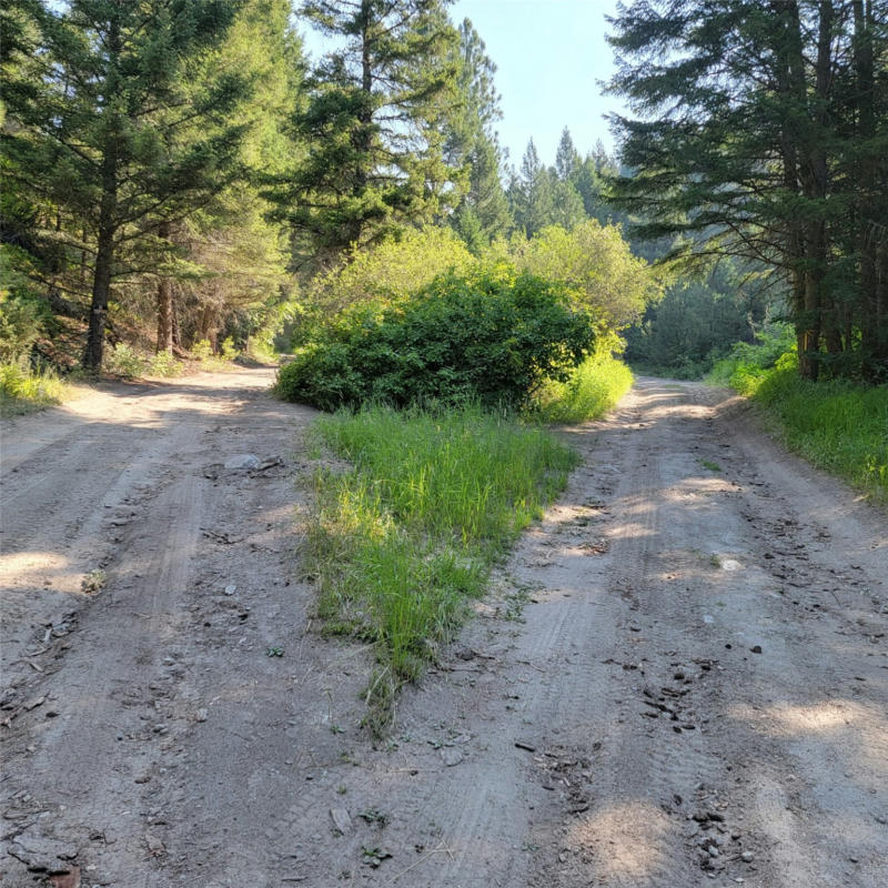 NHN SAPPHIRE RANCH TRAIL, CORVALLIS, MT 59828, photo 1 of 21