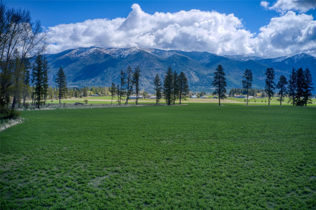 250 PATRIOTS LANE, COLUMBIA FALLS, MT 59912, photo 1 of 50