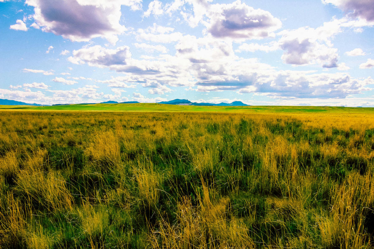 TRACT 25 OLD ULM CASCADE ROAD, CASCADE, MT 59421, photo 1 of 35