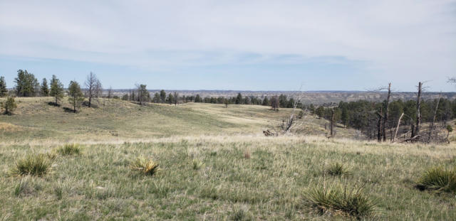 NHN TIN CAN ROAD, WINNETT, MT 59087, photo 2 of 24