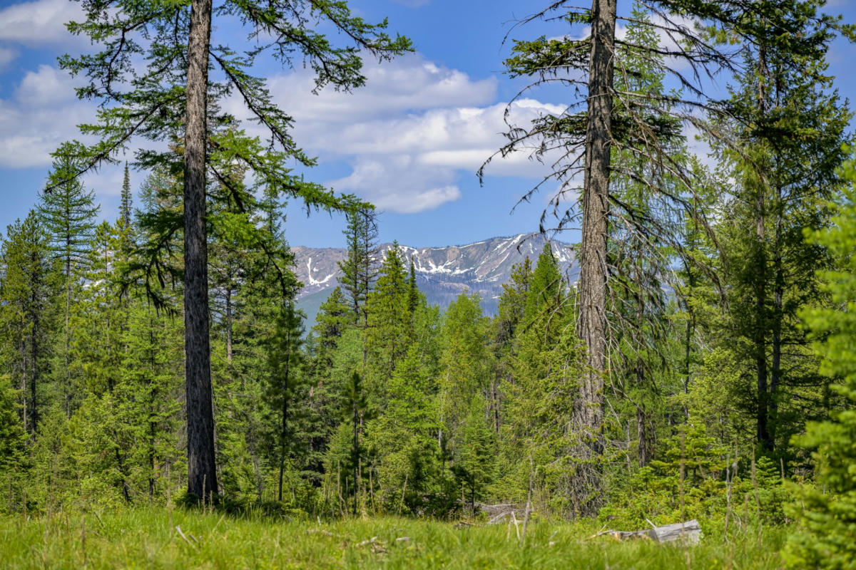 NHN LINDBERGH LAKE ROAD, CONDON, MT 59826, photo 1 of 28