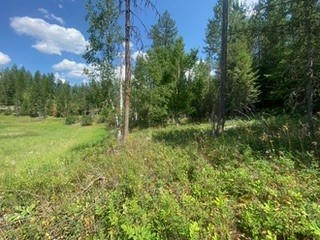 LOT 6 THE CROSSINGS AT BACHELOR GRADE, KALISPELL, MT 59901, photo 2 of 8