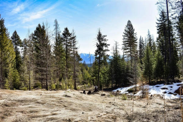 LOT 2 MEADOW SPRINGS SUBDIVISION, FORTINE, MT 59918, photo 3 of 22