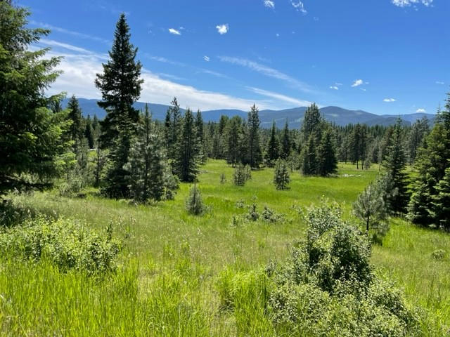 NO ADDRESS GREEN MOUNTAIN ROAD, TROUT CREEK, MT 59874, photo 1 of 7