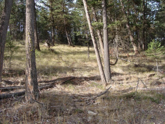 LOT 8 WHISPERING PINES SUBDIVISION, FORTINE, MT 59918, photo 3 of 6