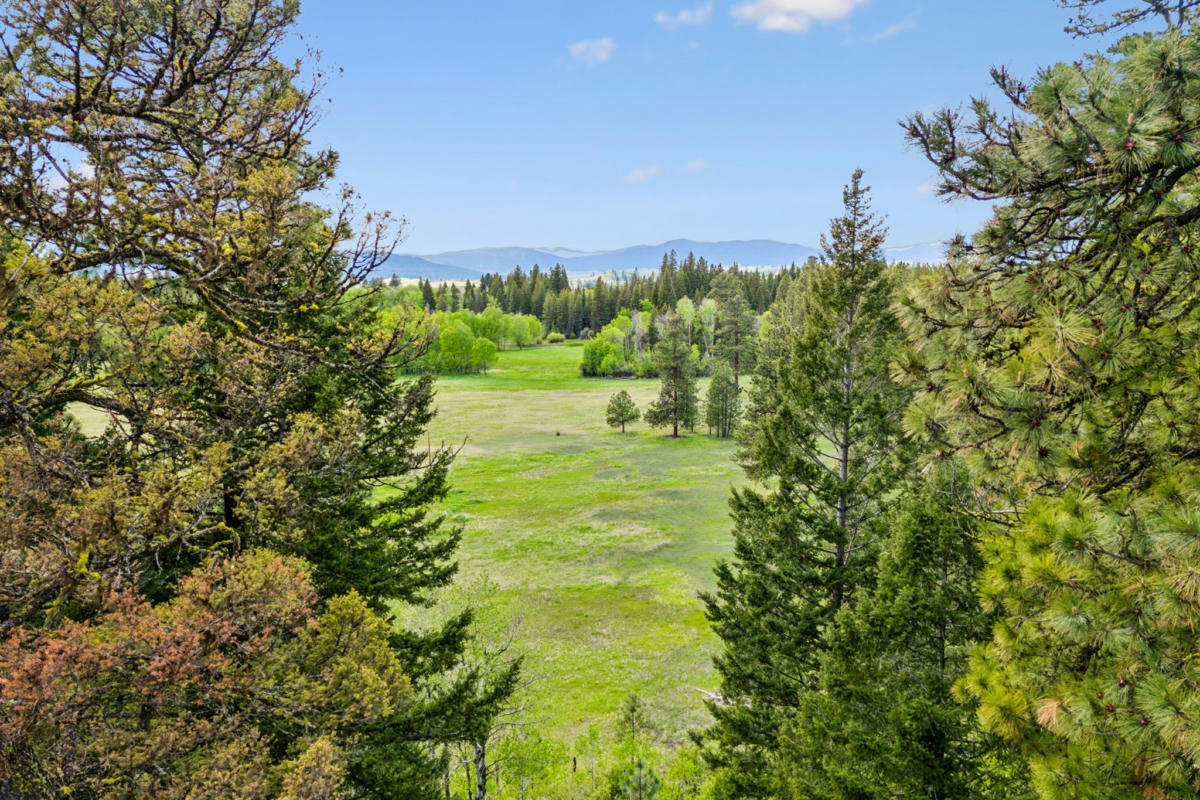 1501 BOOTTREE RD, OVANDO, MT 59854, photo 1 of 50