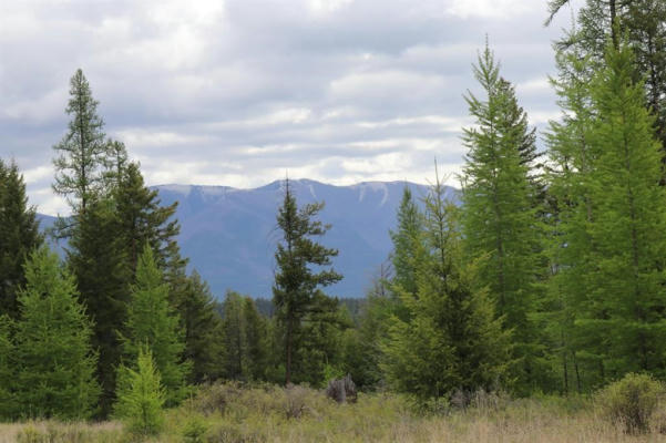 LOT 1A MEADOW SPRINGS, FORTINE, MT 59918 - Image 1