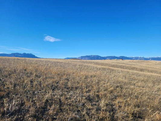 53 WILLOW CREEK RD, AUGUSTA, MT 59410 - Image 1