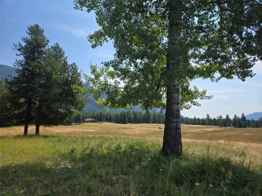 11 BEAR CUB LN, TROUT CREEK, MT 59874 - Image 1