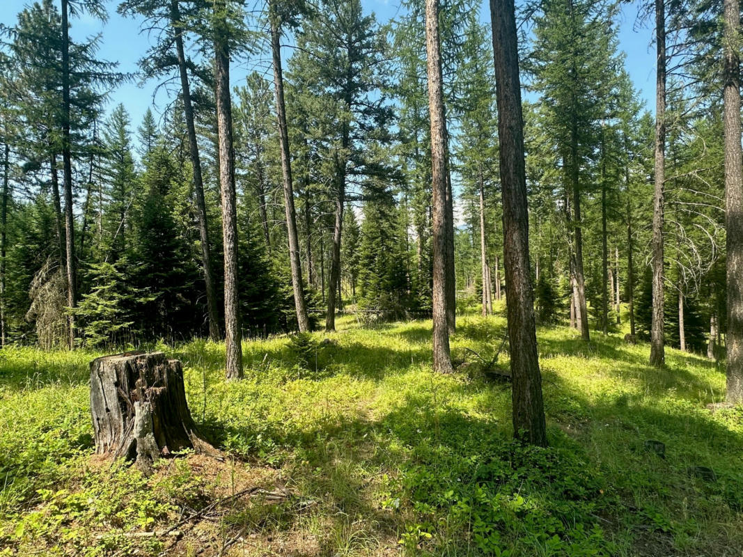 LOT 2 THE CROSSINGS AT BACHELOR GRADE, KALISPELL, MT 59901, photo 1 of 7