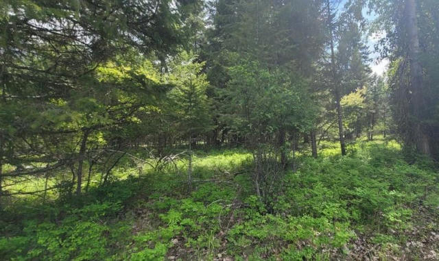 TBD, LOT 3 PARMENTER ROAD, LIBBY, MT 59923, photo 3 of 16