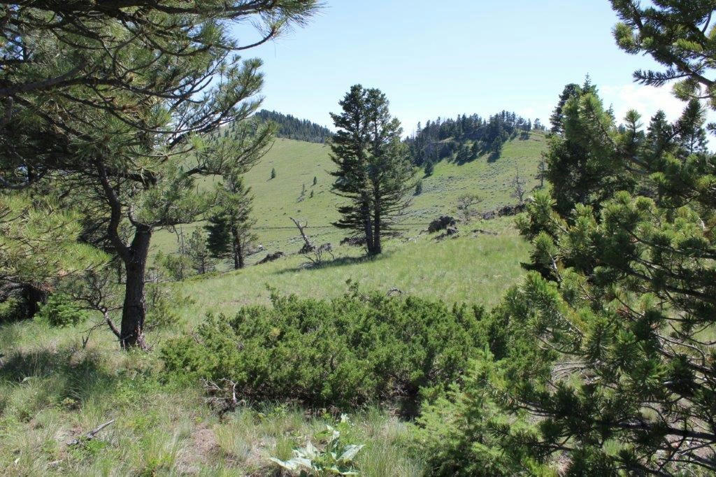 TBD OUTER LOOP ROAD, CASCADE, MT 59421, photo 1 of 33