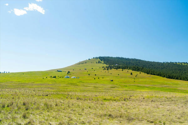 NHN WALKING HORSE LANE, BIG ARM, MT 59910, photo 5 of 30