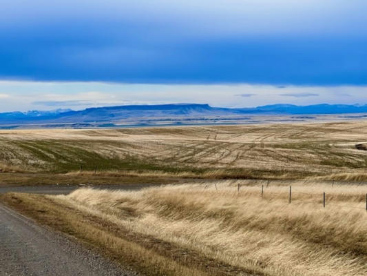 TBD TRULY BENCH ROAD, GREAT FALLS, MT 59404 - Image 1