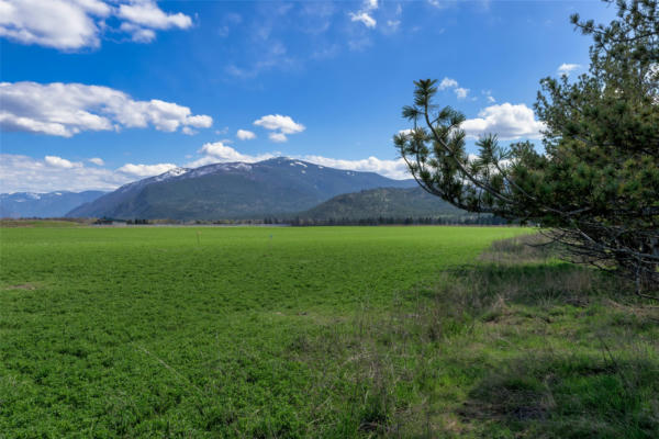 NHN PICEA PLACE # LOT 16, PLAINS, MT 59859, photo 4 of 41