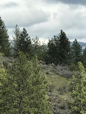 NKN WEST FORK CONPASS CREEK ROAD, PLAINS, MT 59859, photo 5 of 14