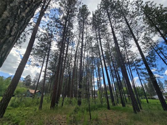 NHN LEANIN TREE LANE, PABLO, MT 59855 - Image 1