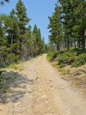 LOT 68 ELK MEADOWS, LINCOLN, MT 59639, photo 2 of 25