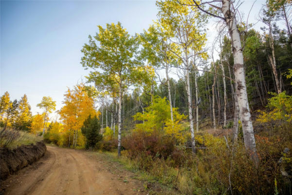 119120 LONE PINE GULCH RD, RAMSAY, MT 59748, photo 4 of 32