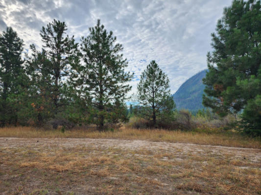 LOT 3 HARBINE RANCH ROAD, PLAINS, MT 59859, photo 3 of 19