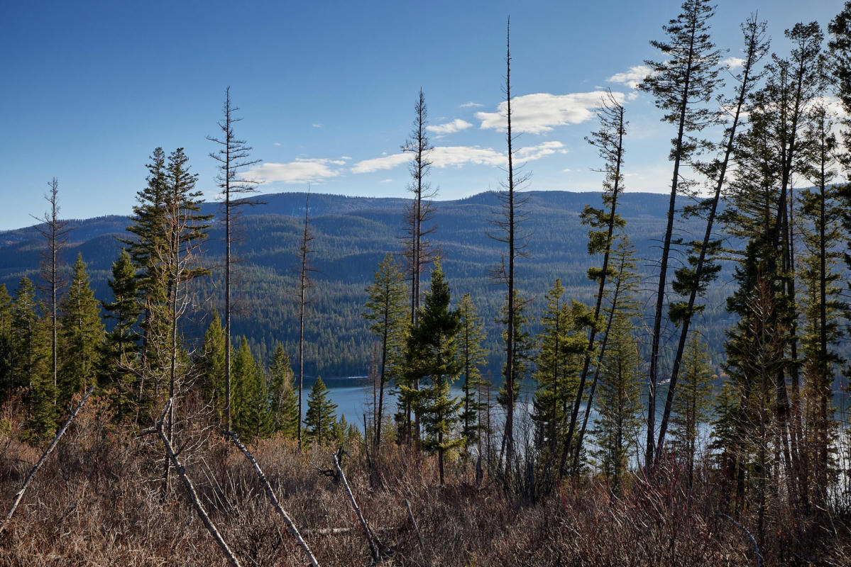 NHN SWAN LAKE OVERLOOK, BIGFORK, MT 59911, photo 1 of 44