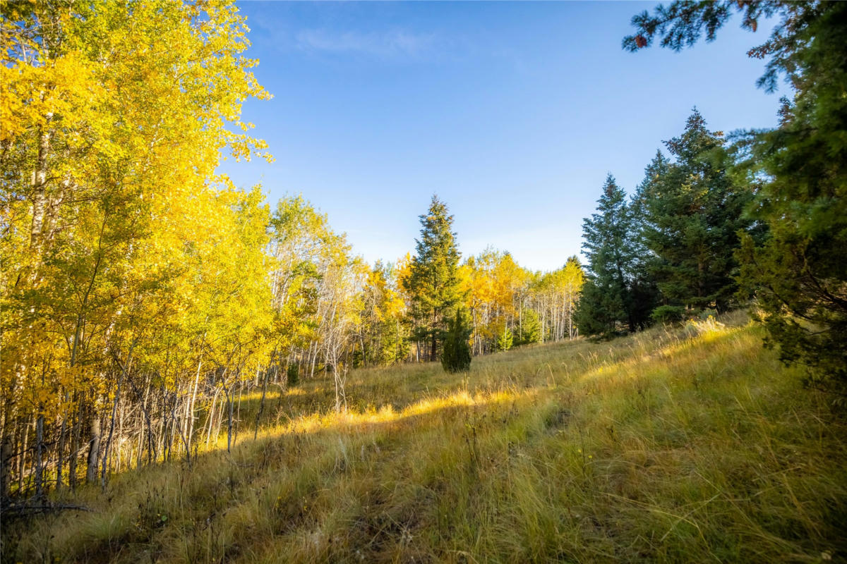 119120 LONE PINE GULCH RD, RAMSAY, MT 59748, photo 1 of 32