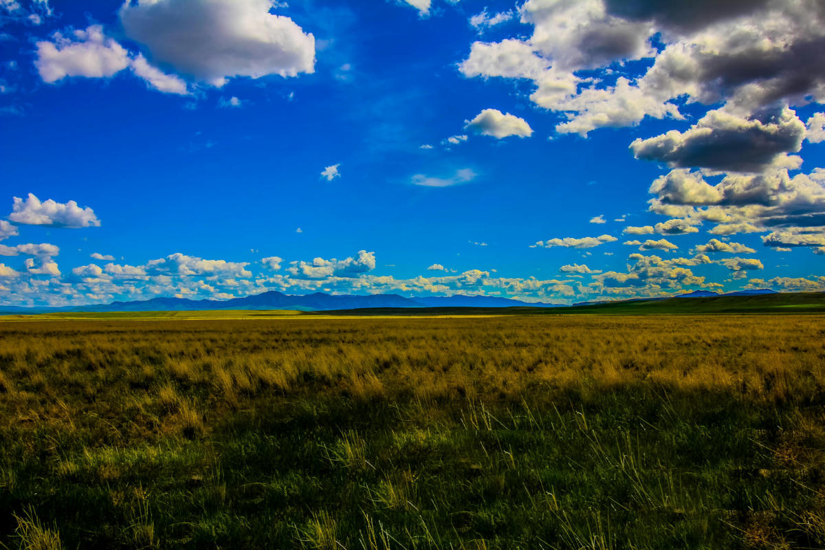 TRACT 29 OLD ULM CASCADE ROAD, CASCADE, MT 59421, photo 1 of 33