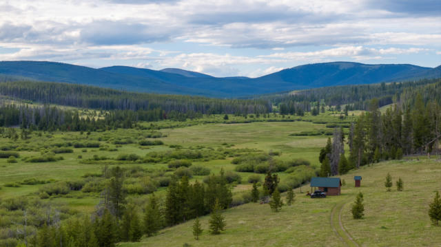 983 WILLOW CREEK RD, PHILIPSBURG, MT 59858, photo 5 of 71