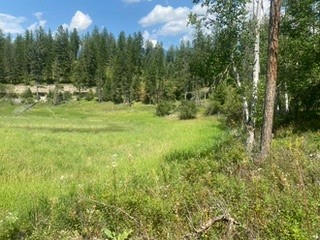 LOT 6 THE CROSSINGS AT BACHELOR GRADE, KALISPELL, MT 59901, photo 3 of 8