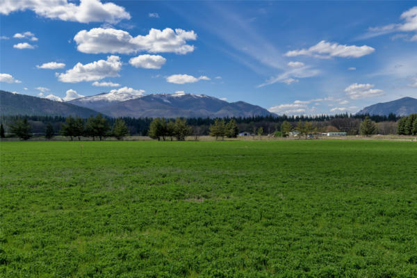 NHN PICEA PLACE # LOT 16, PLAINS, MT 59859, photo 2 of 41