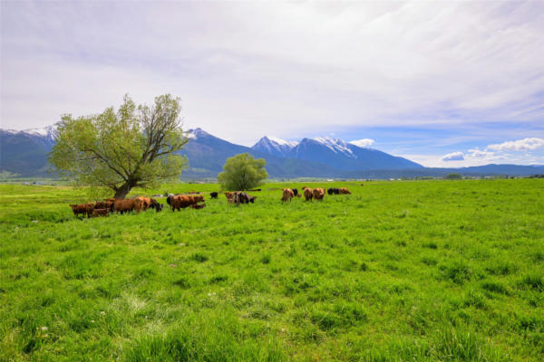 TBD WATSON ROAD, SAINT IGNATIUS, MT 59865, photo 4 of 32