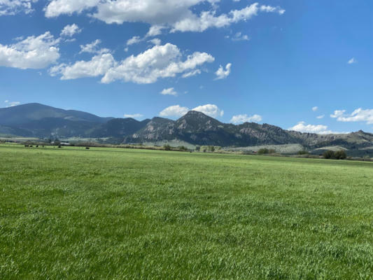 188+/- ACRES IN NORTH MEADOW CREEK, MCALLISTER, MT 59740, photo 2 of 18