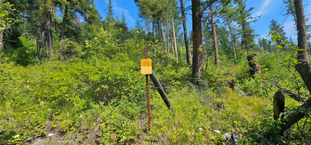 31714 TWINFLOWER LN, BIGFORK, MT 59911, photo 5 of 70