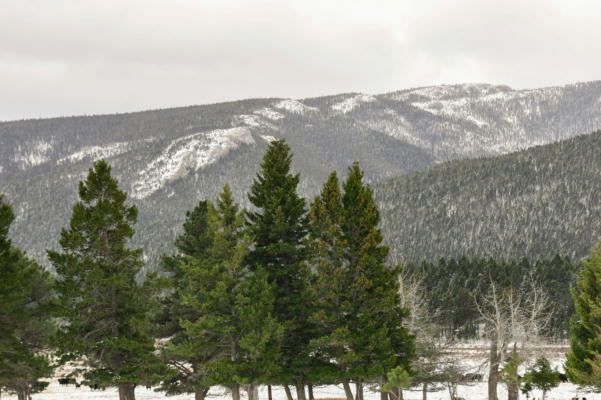 NHN VACANT LAND, STANFORD, MT 59479 - Image 1