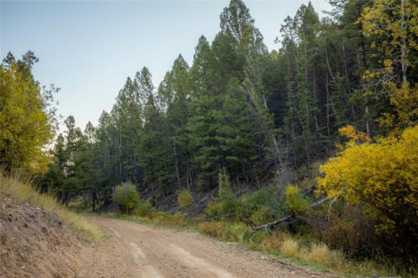 119120 LONE PINE GULCH RD, RAMSAY, MT 59748, photo 2 of 32