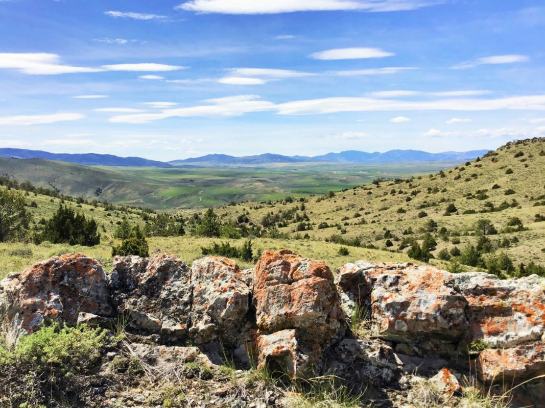 NHN MILLIGAN CANYON ROAD, THREE FORKS, MT 59721, photo 1 of 52