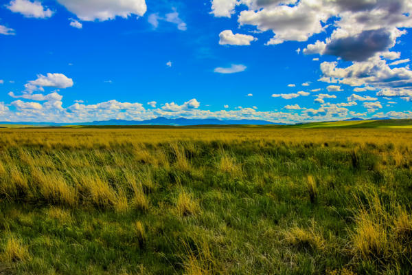 TRACT 29 OLD ULM CASCADE ROAD, CASCADE, MT 59421, photo 4 of 33