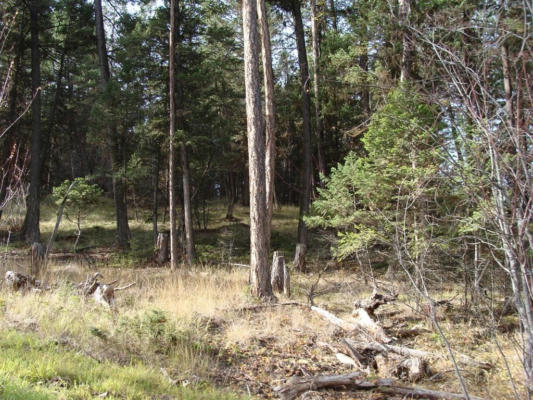 LOT 8 WHISPERING PINES SUBDIVISION, FORTINE, MT 59918, photo 4 of 6