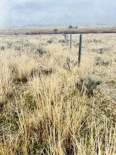 NHN CARRIGER LANE, BUTTE, MT 59750, photo 1 of 16
