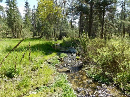 419 TREECE GULCH RD, STEVENSVILLE, MT 59870, photo 4 of 19