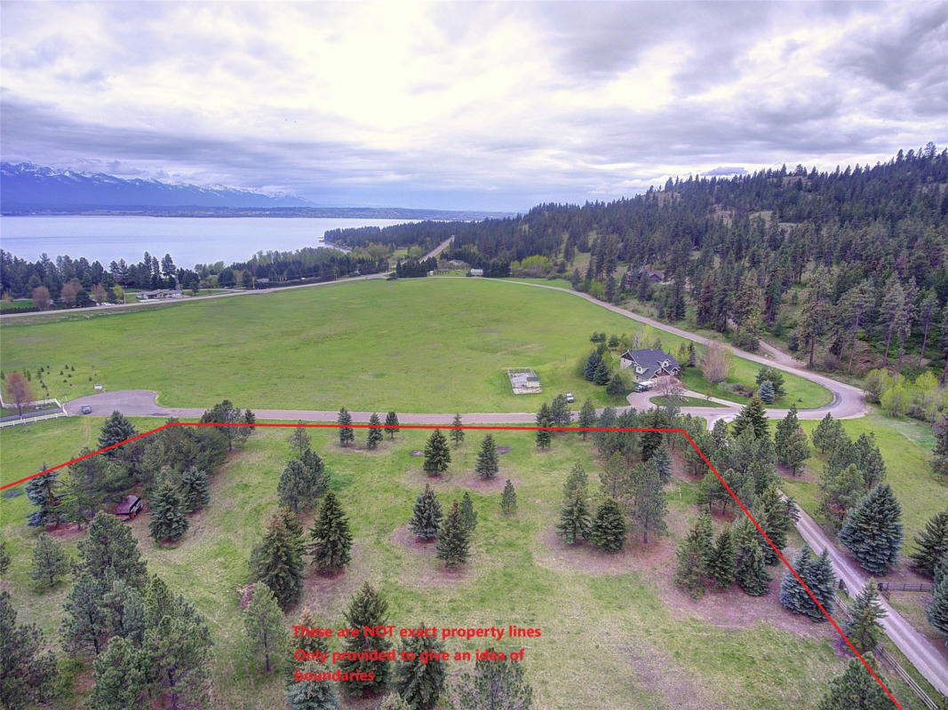 NHN BLUE SPRUCE DRIVE, POLSON, MT 59860, photo 1 of 10