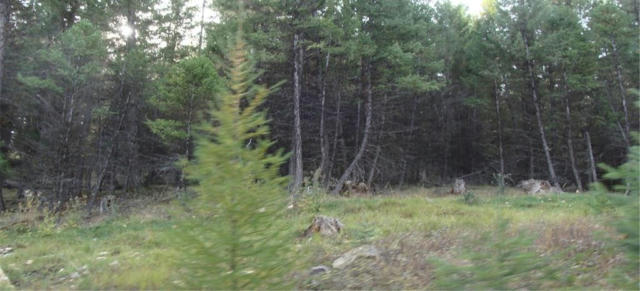 LOT 7 WHISPERING PINES SUBDIVISION, FORTINE, MT 59918, photo 2 of 4