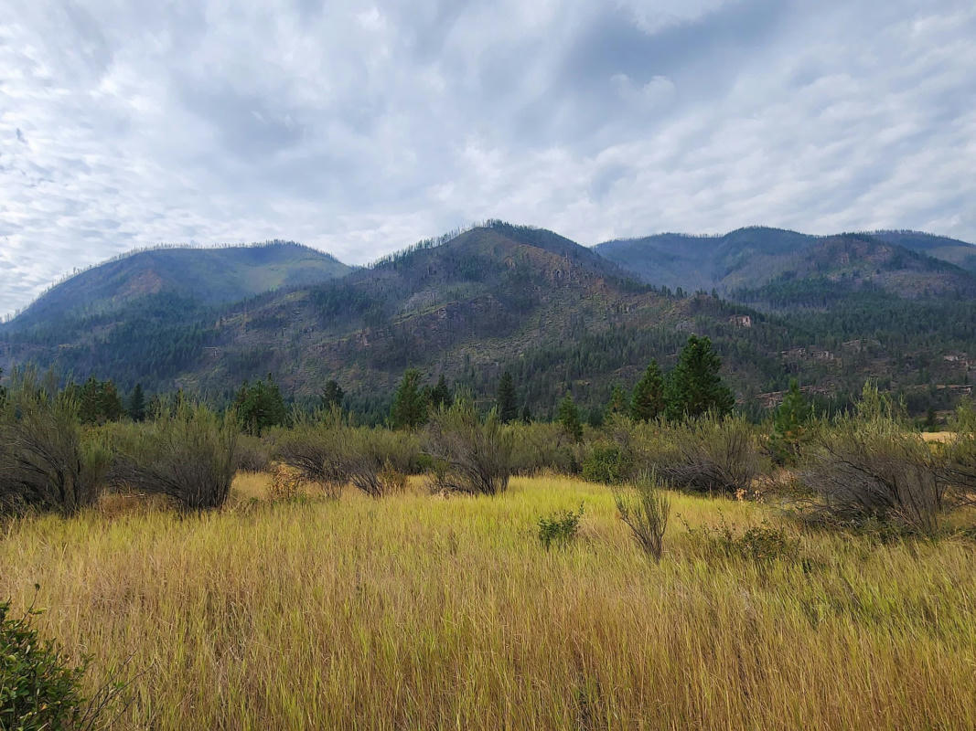 LOT 3 HARBINE RANCH ROAD, PLAINS, MT 59859, photo 1 of 19