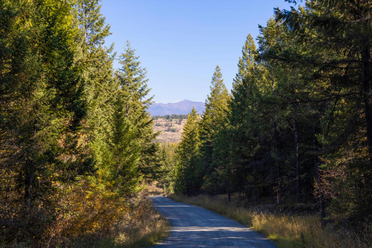 NHN GUT CREEK ROAD, EUREKA, MT 59917, photo 1 of 26