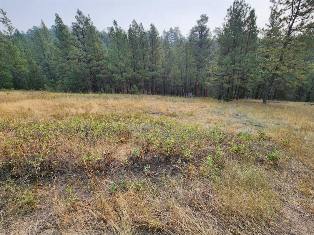 TRACT 64 HIDEAWAY LANE, CASCADE, MT 59421, photo 1 of 22