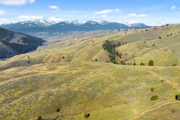 NHN THOR ROAD, DARBY, MT 59829, photo 2 of 20