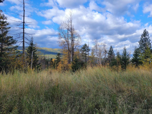 NHN SWAN LAKE OVERLOOK, BIGFORK, MT 59911, photo 2 of 44