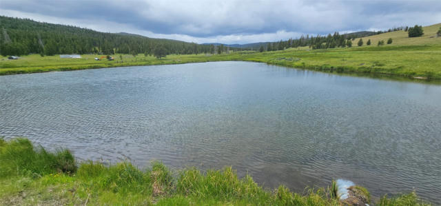 10085 SNOWSHOE-DEADWOOD RD, CANYON CREEK, MT 59633 - Image 1